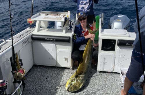 Bermi Marlin, Mako and Mahi Mahi