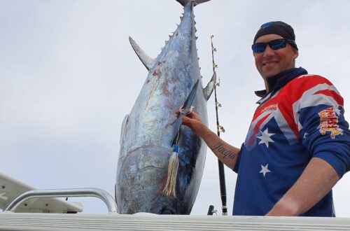 barrel tuna
