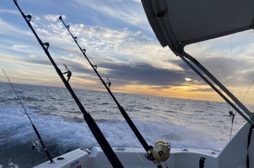 4kg line tuna fun