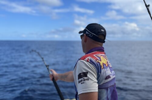 Gold Coast Marlin fun
